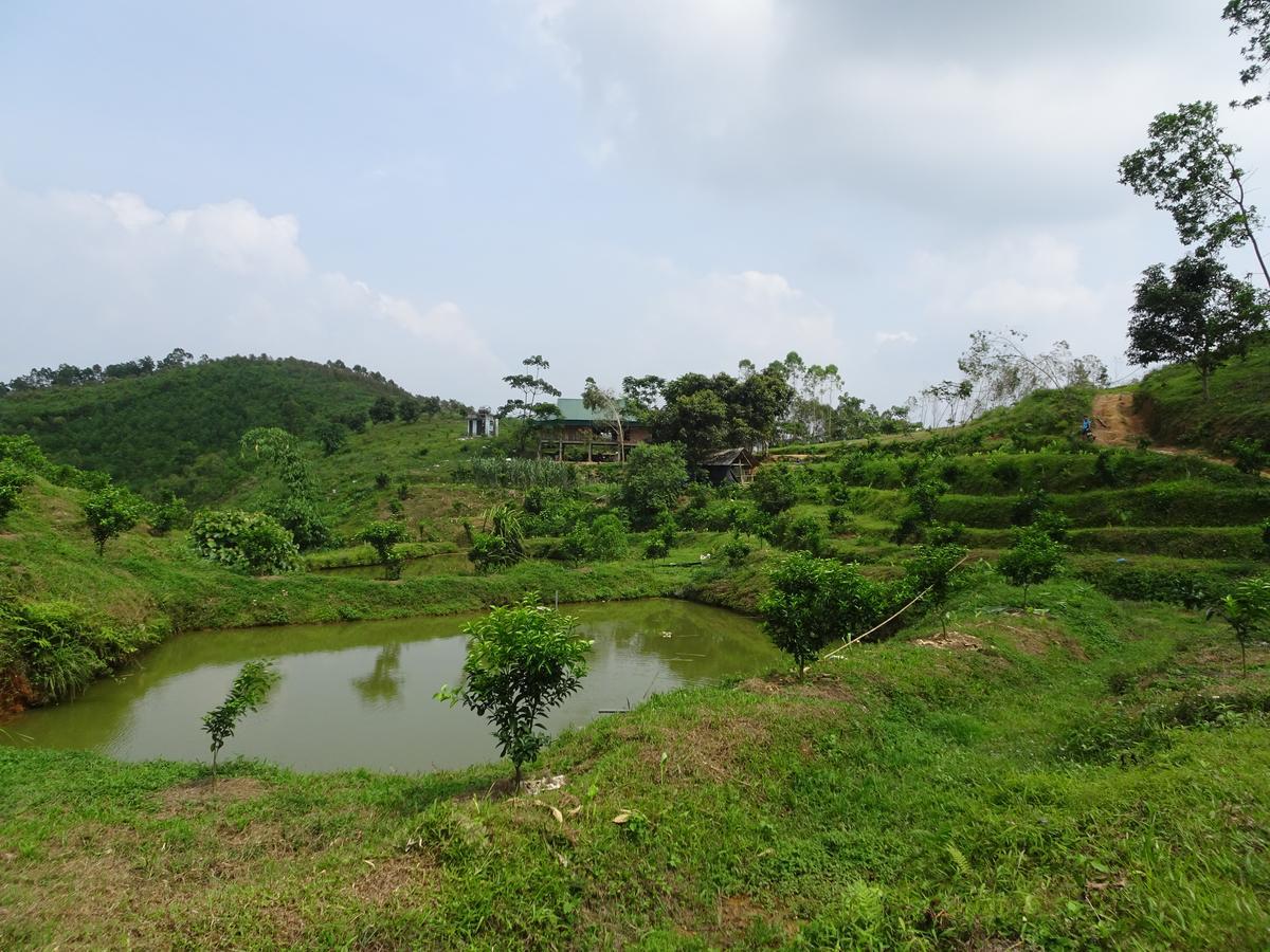 Thac Ba Family Homestay Ho To Exteriér fotografie